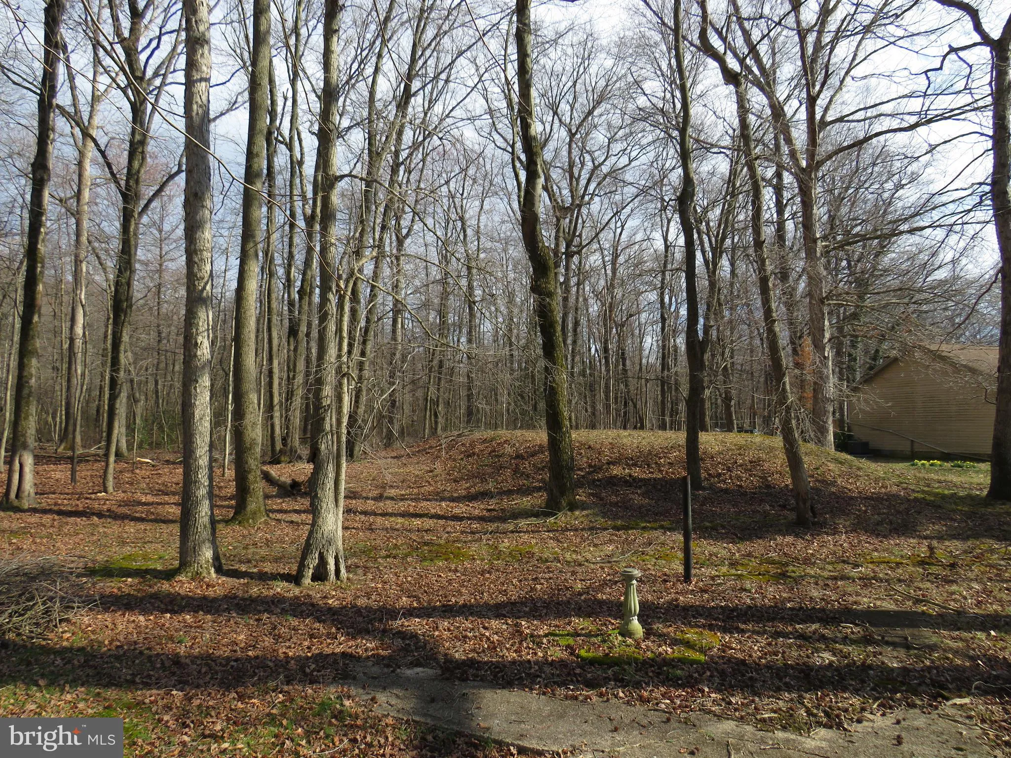 Additional image 61 of 1126 Myers Drive, Hartly, DE 19953