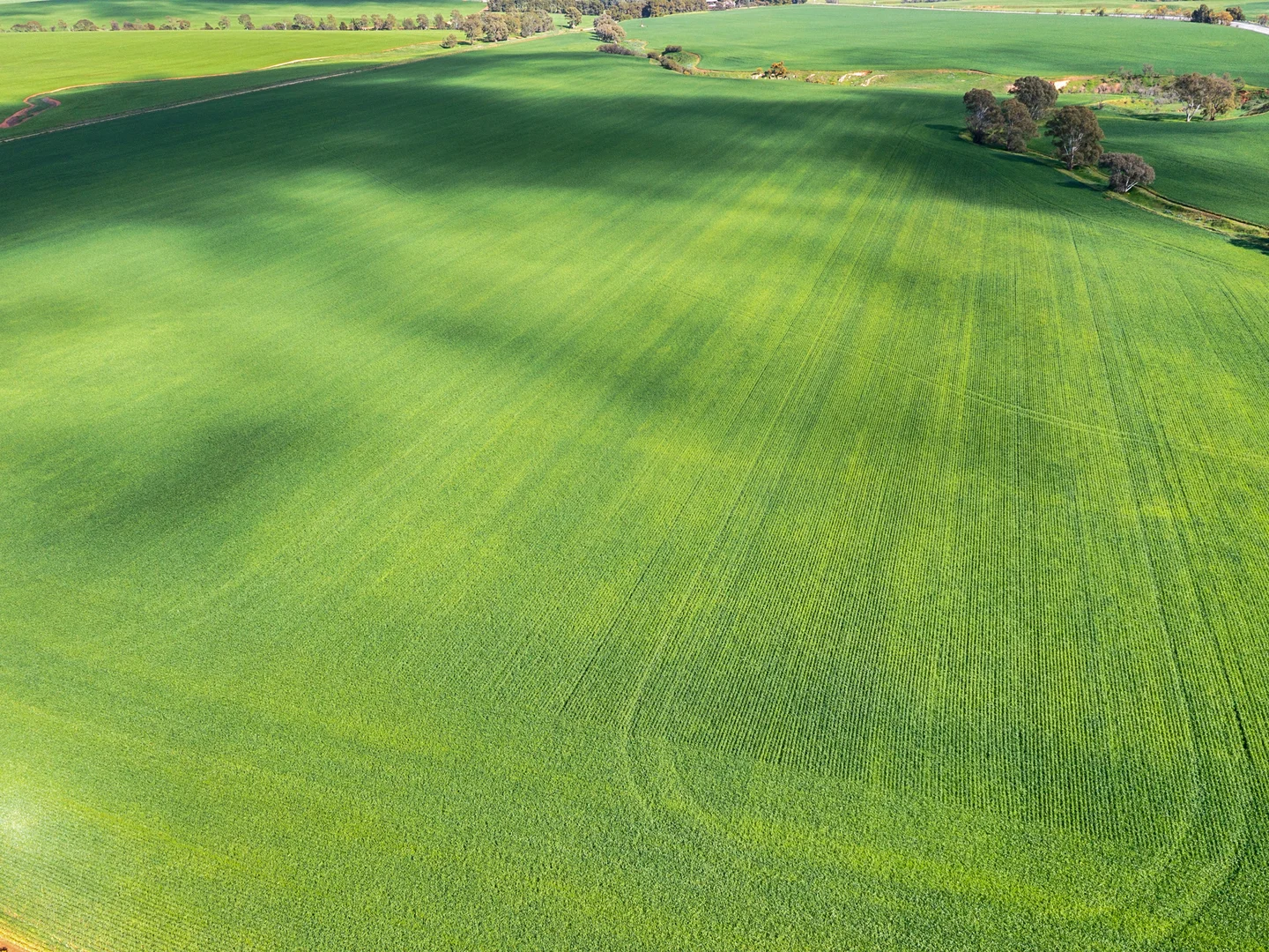 Additional image 7 of Section 345 & 346, Brinkworth SA 5464