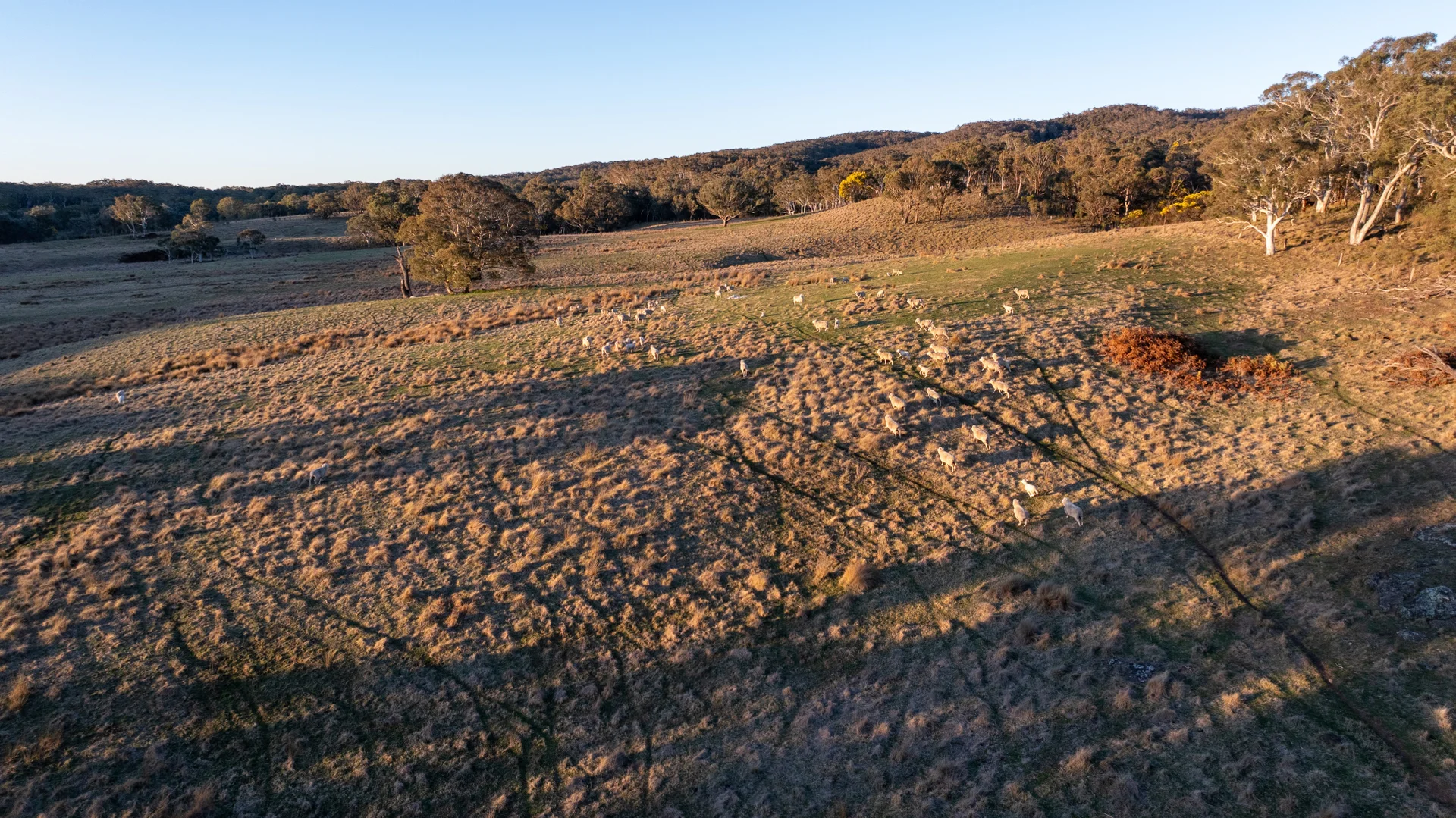 Additional image 49 of 785 Thornford Road, Goulburn NSW 2580