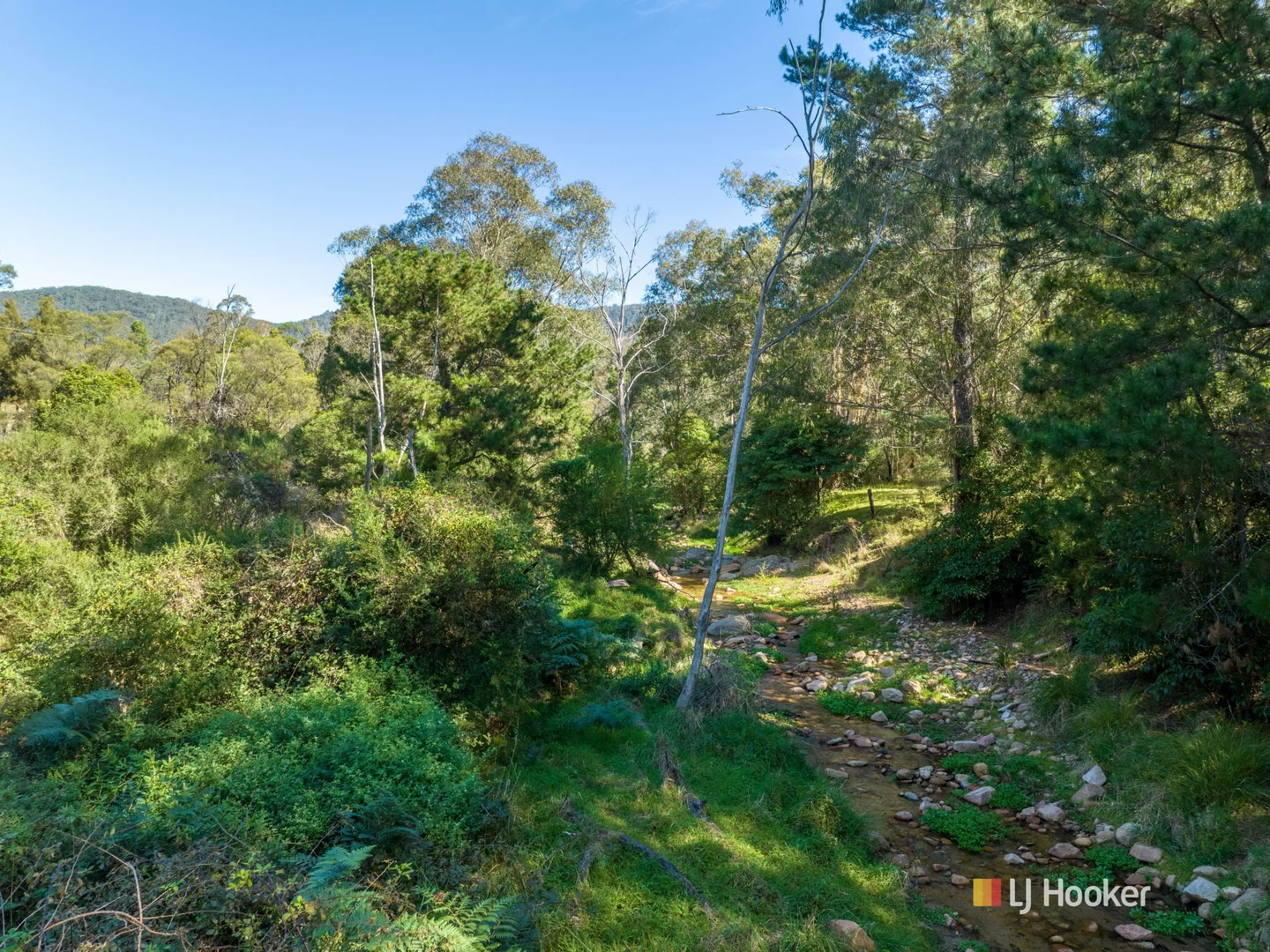 Additional image 2 of 1086 Furners Road, Bemboka NSW 2550