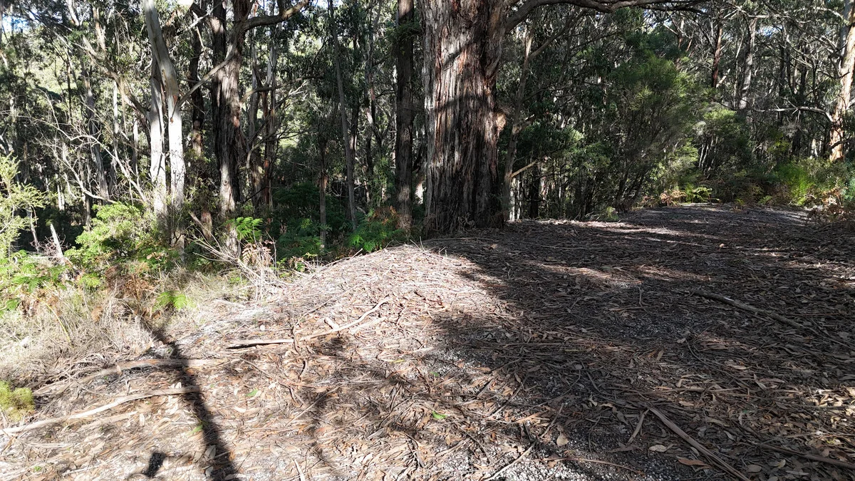 Additional image 4 of 318 Old Ocean Road, Glenaire VIC 3238