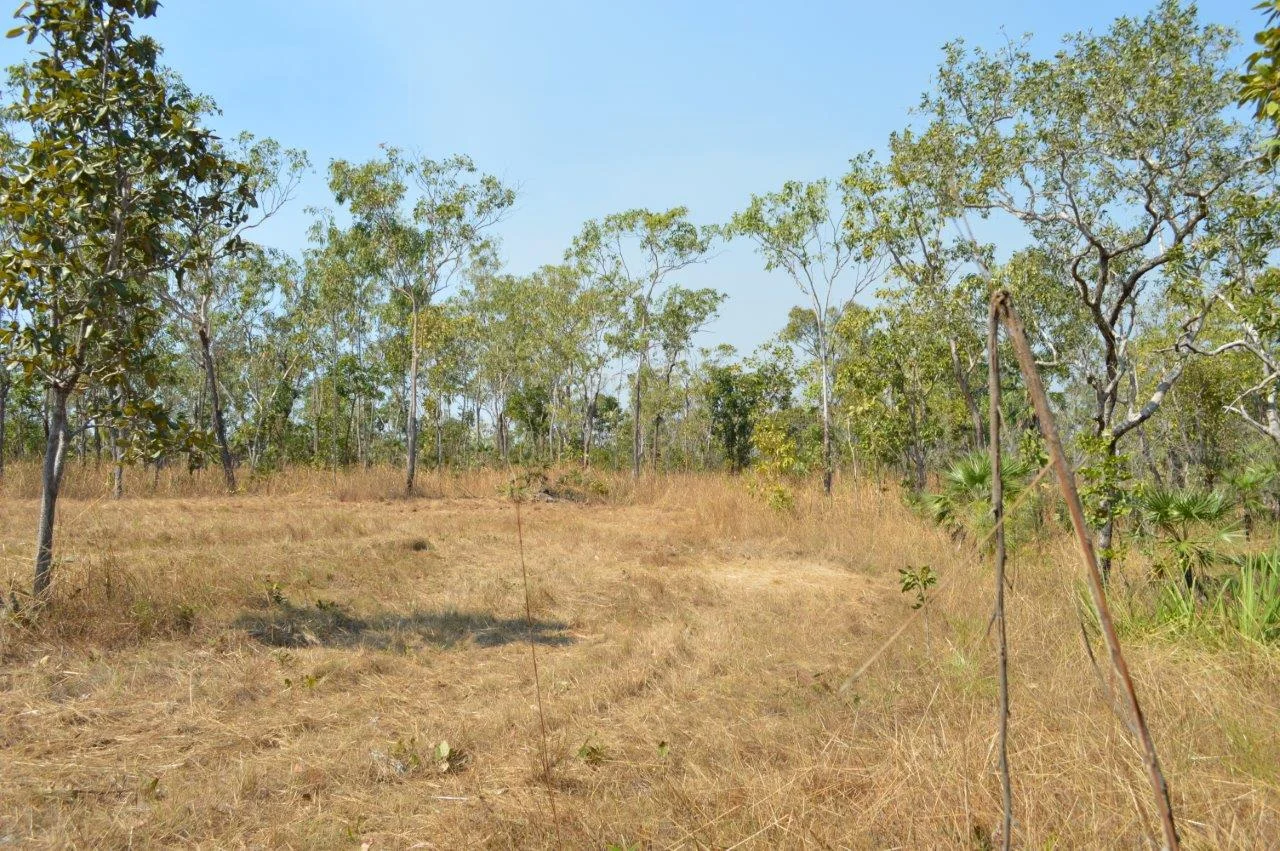 Additional image 22 of Acacia Hills NT 0822