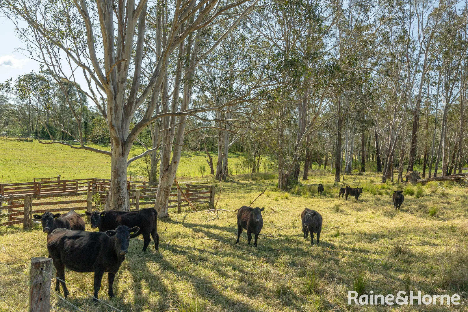 Additional image 33 of 1813 The River Road 'Strathclyde', Brooman NSW 2538