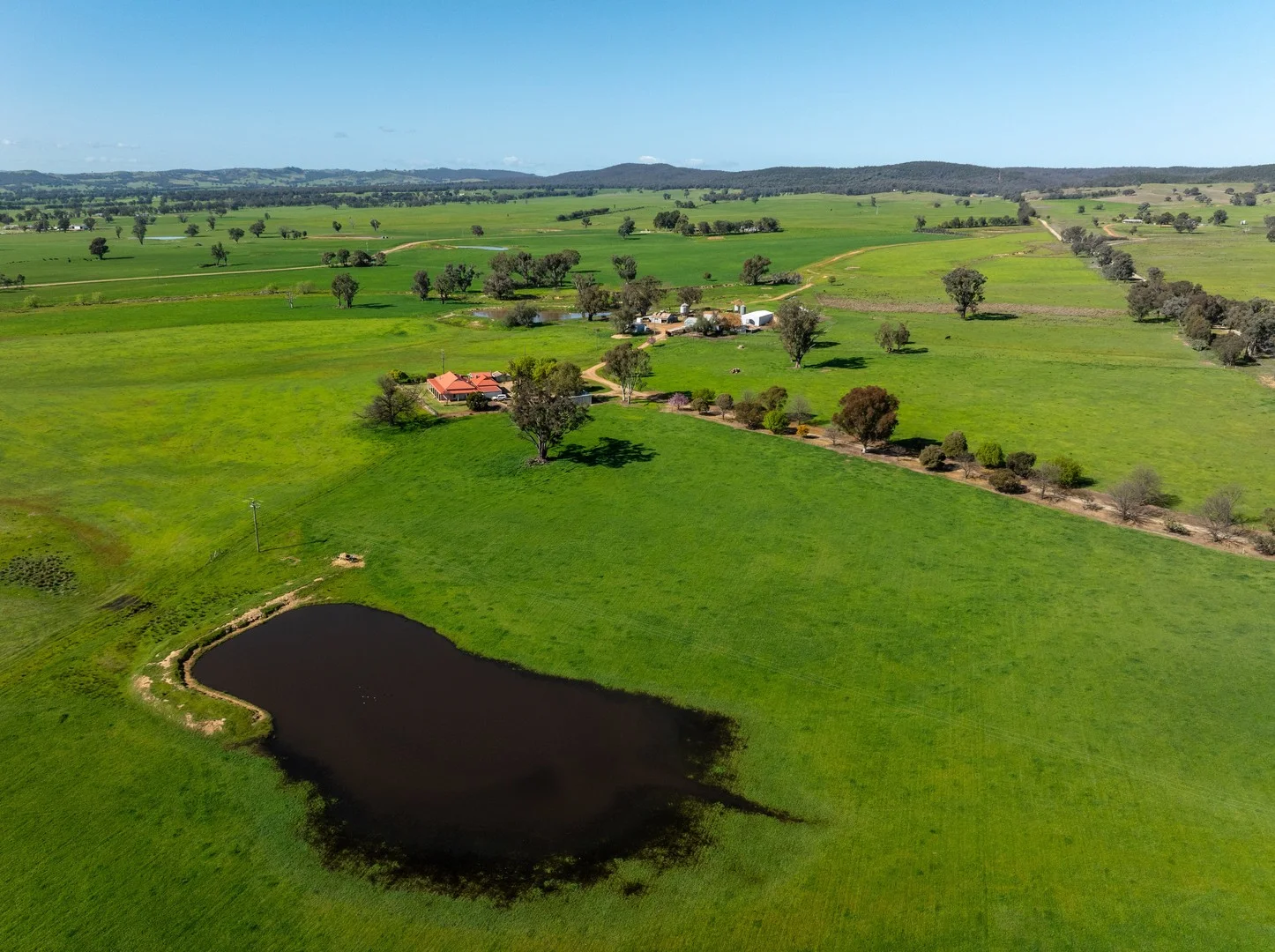 Additional image 9 of 25 Wrigleys Road, Big Springs NSW 2650