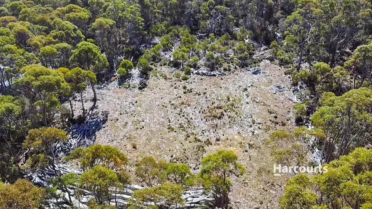 Additional image 3 of 711 Arthurs Lake Road, Arthurs Lake TAS 7030