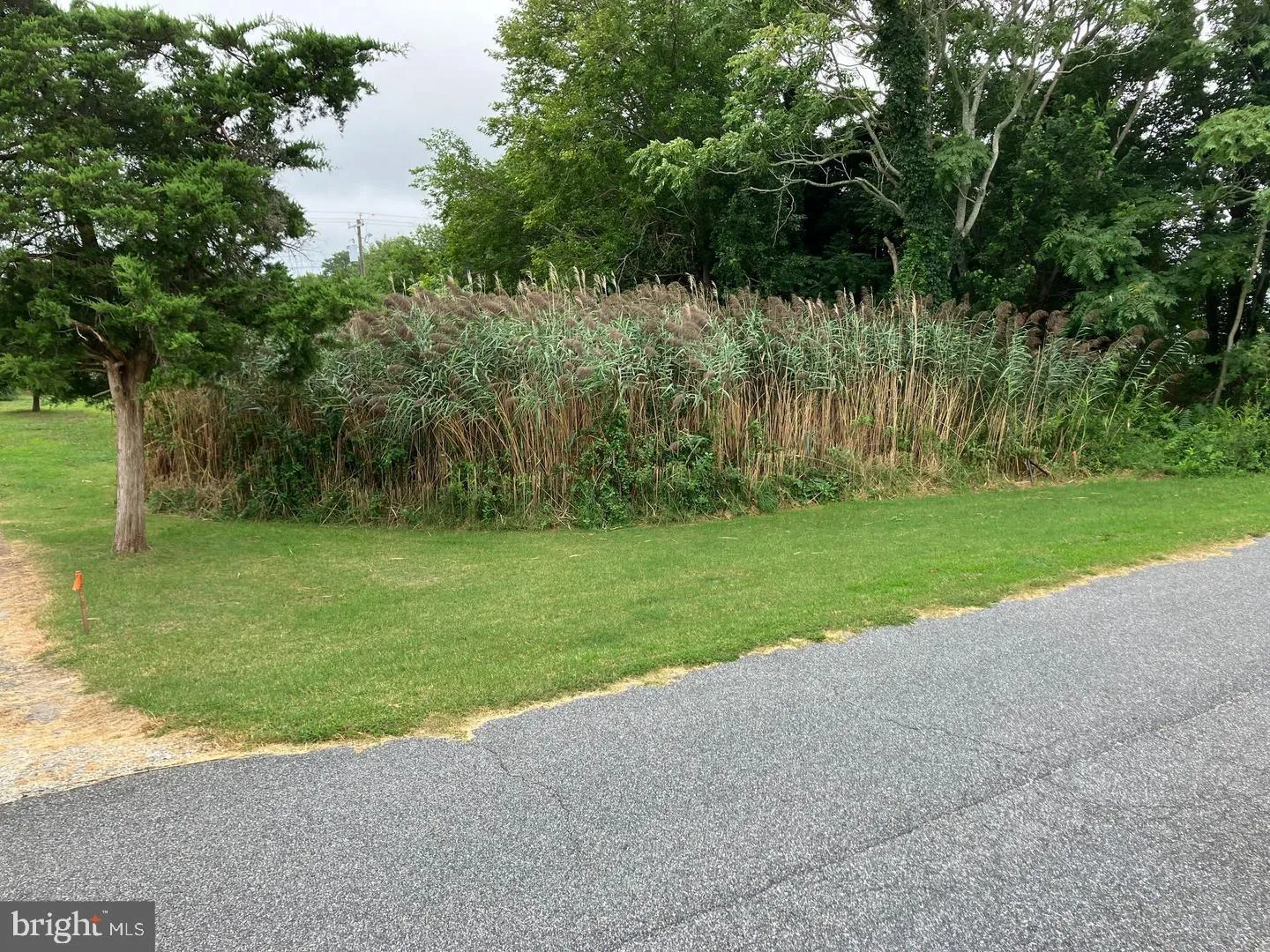 Additional image 11 of Lot 517 Beach Plum Drive, Milford, DE 19963