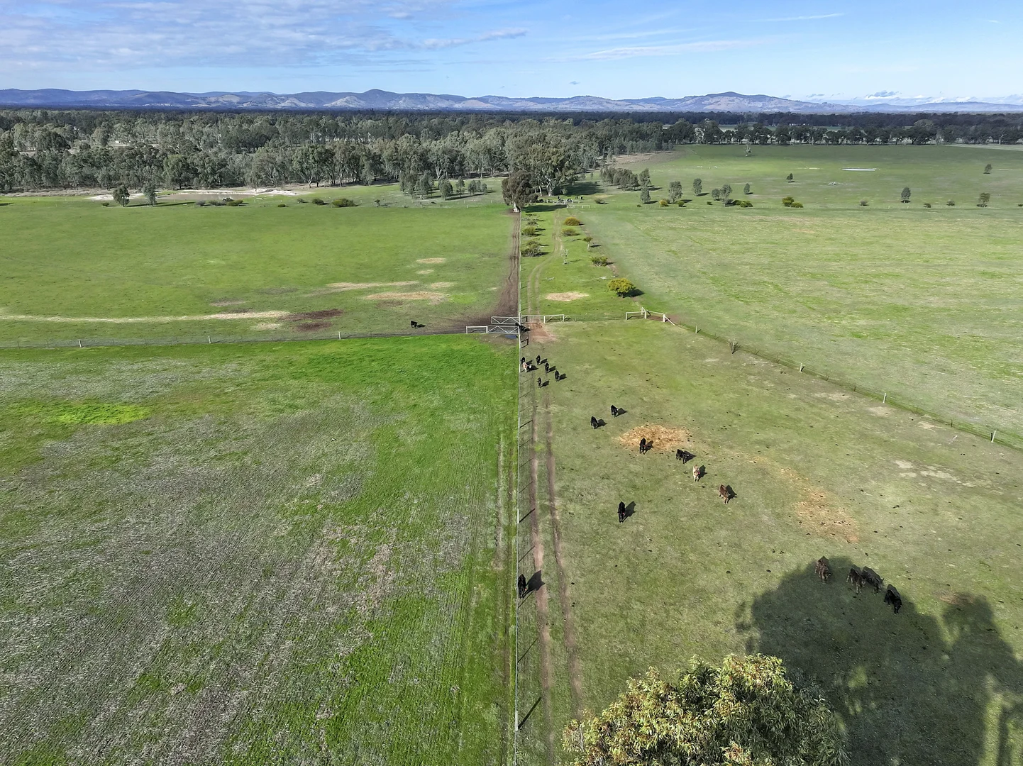 Additional image 2 of 158 Box Hill Lane, Upotipotpon VIC 3669