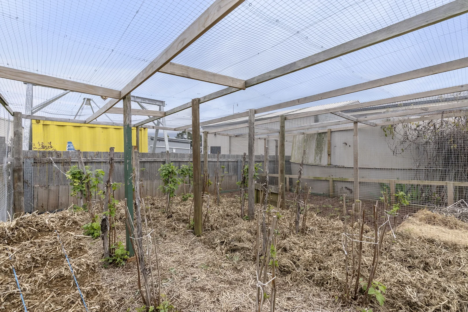 Additional image 24 of 15-17 Ellenor Street, Scottsdale TAS 7260