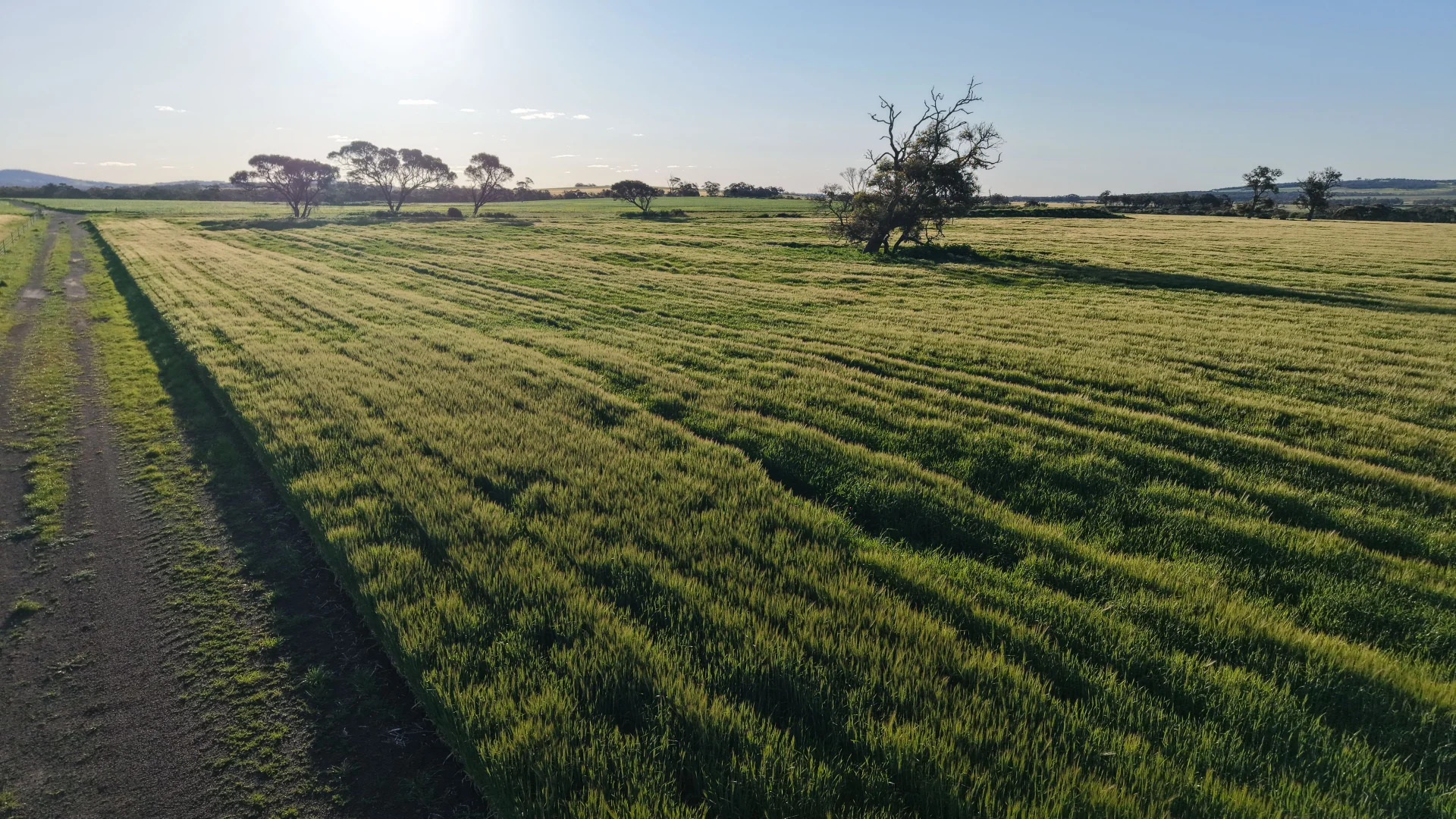 Additional image 11 of 491 Knight Road, Porongurup WA 6324