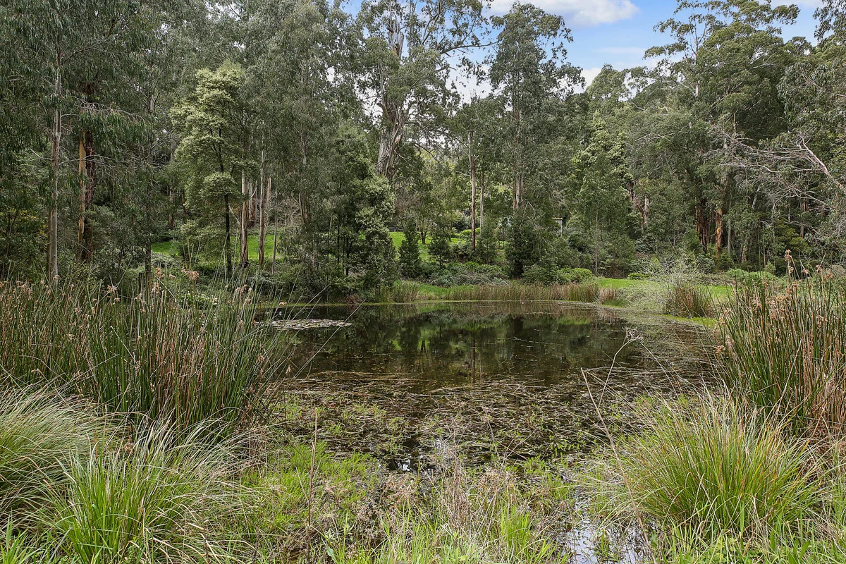 Additional image 24 of 3360 Colac-Lavers Hill Road, Ferguson VIC 3237