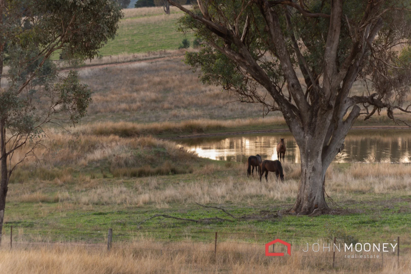 Additional image 10 of Wynyard Hill Estate, Springvale NSW 2650