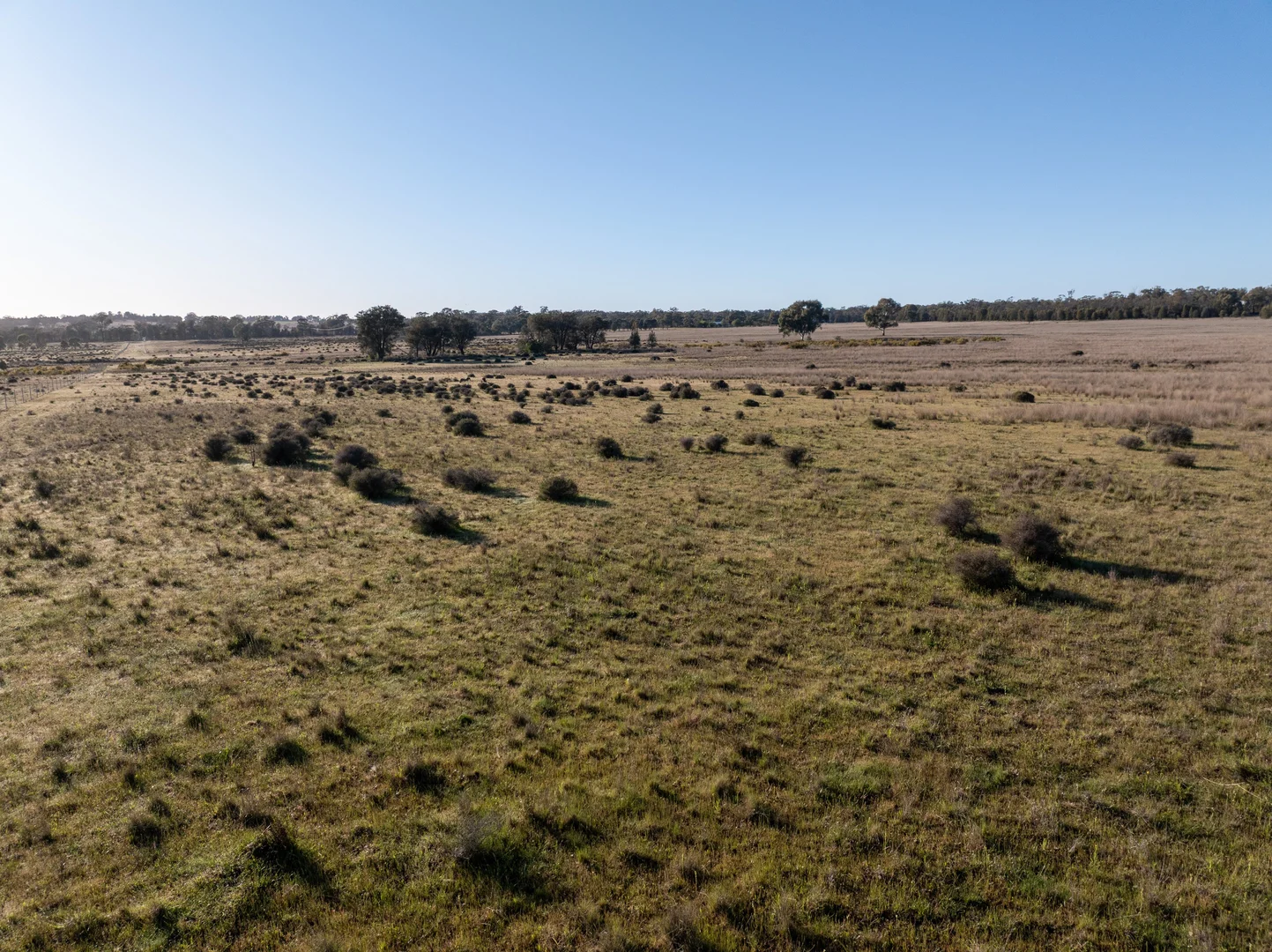 Additional image 21 of Lagoon Creek Road, Minore NSW 2830