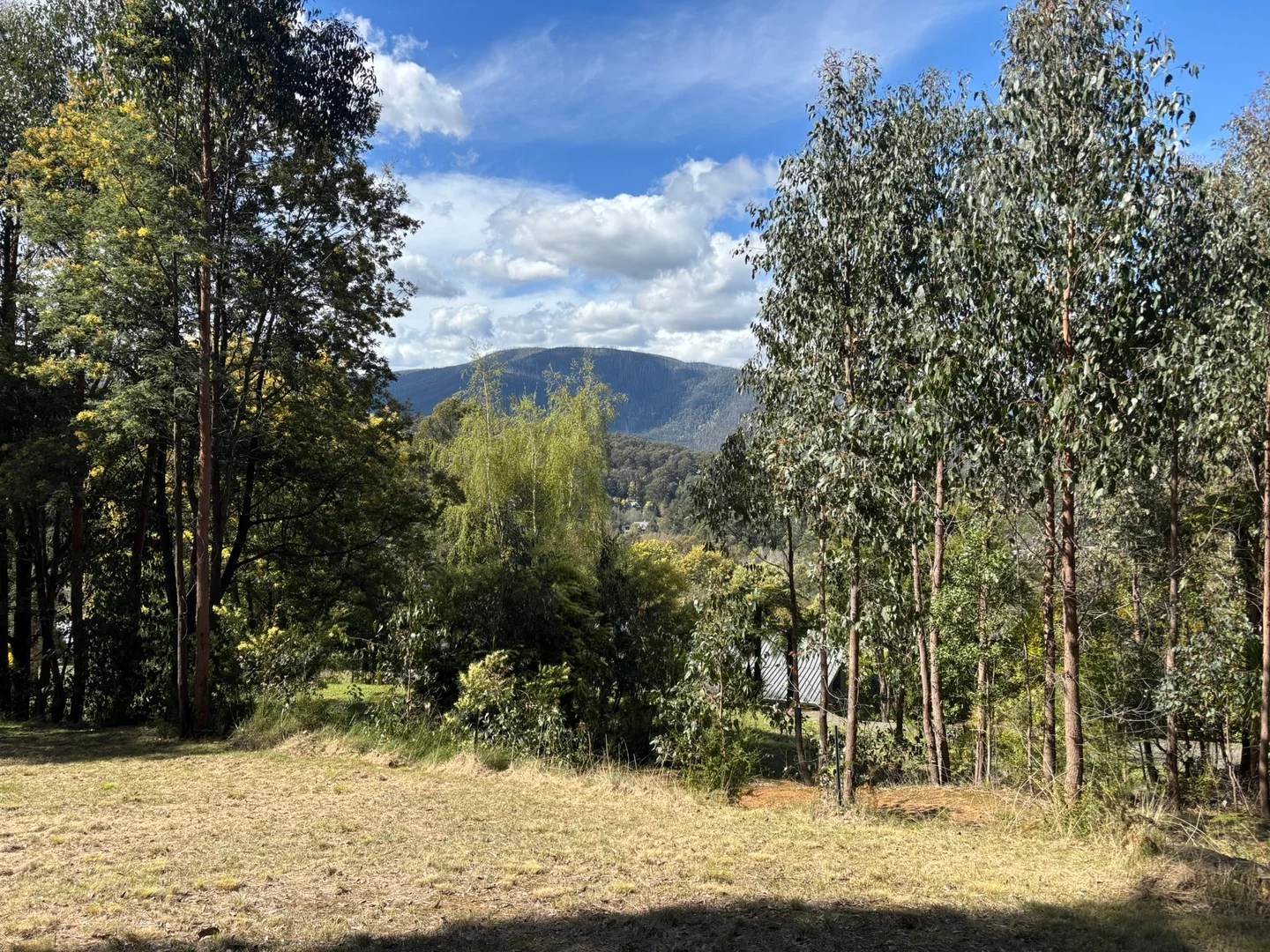 Additional image 7 of 1 Kings Road, Marysville VIC 3779