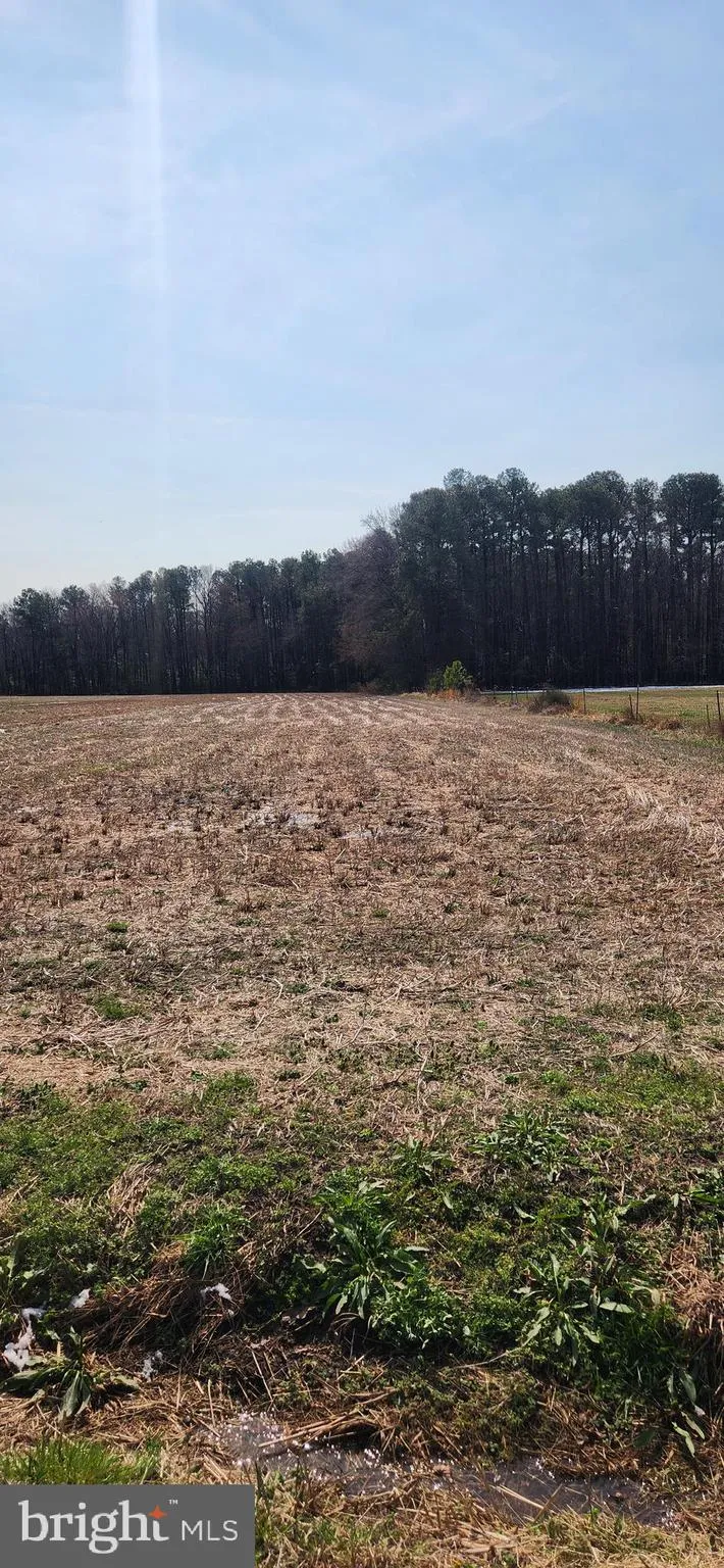 Additional image 6 of Lot 1 Pepperbox Road, Laurel, DE 19956