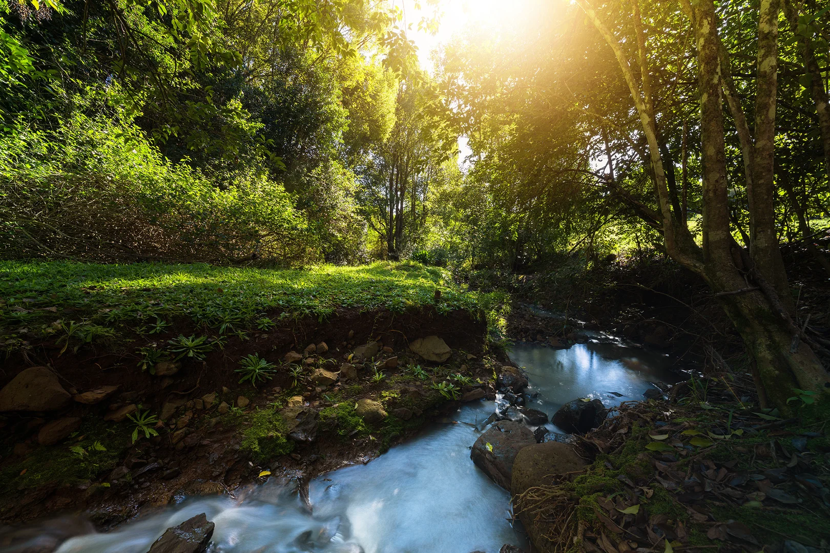 Additional image 14 of 48 Lincoln Avenue, McLeans Ridges NSW 2480