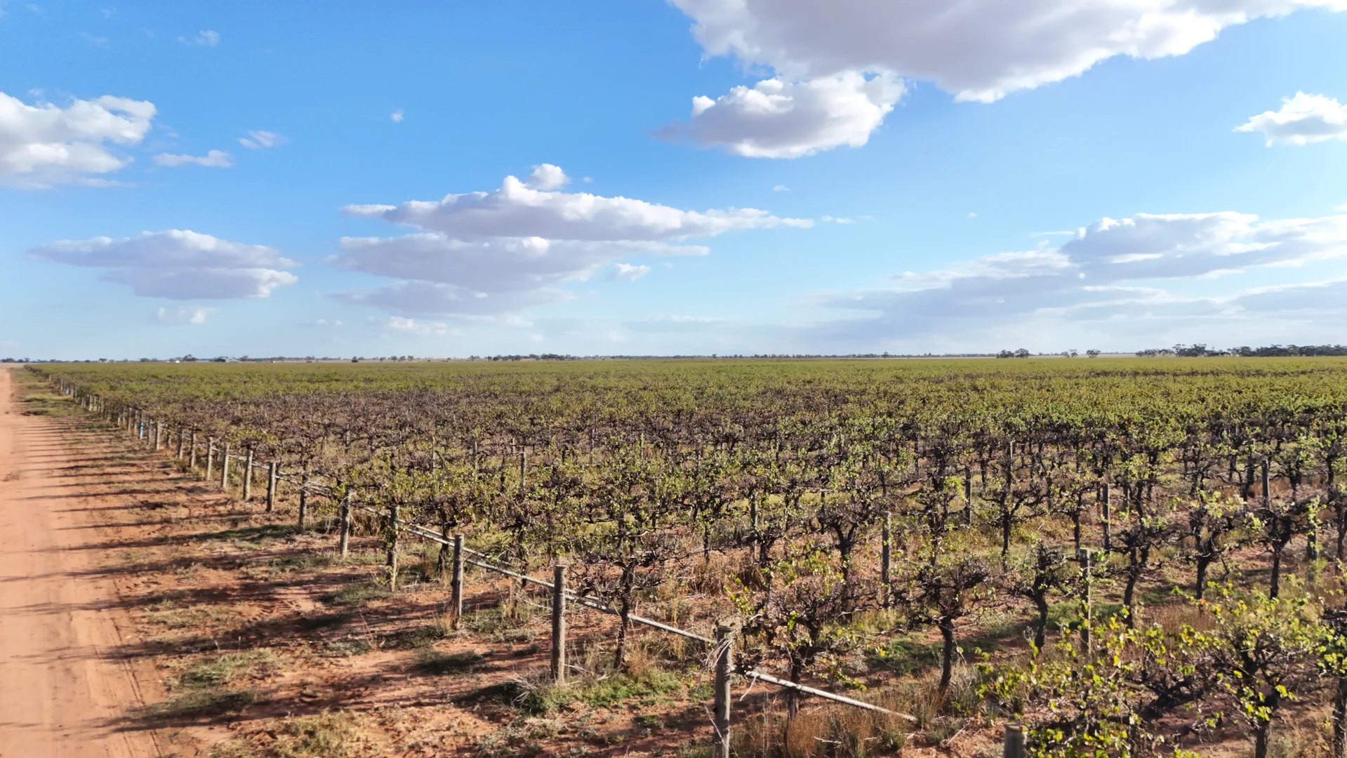 Additional image 28 of 595 Woorinen Road, Swan Hill VIC 3585