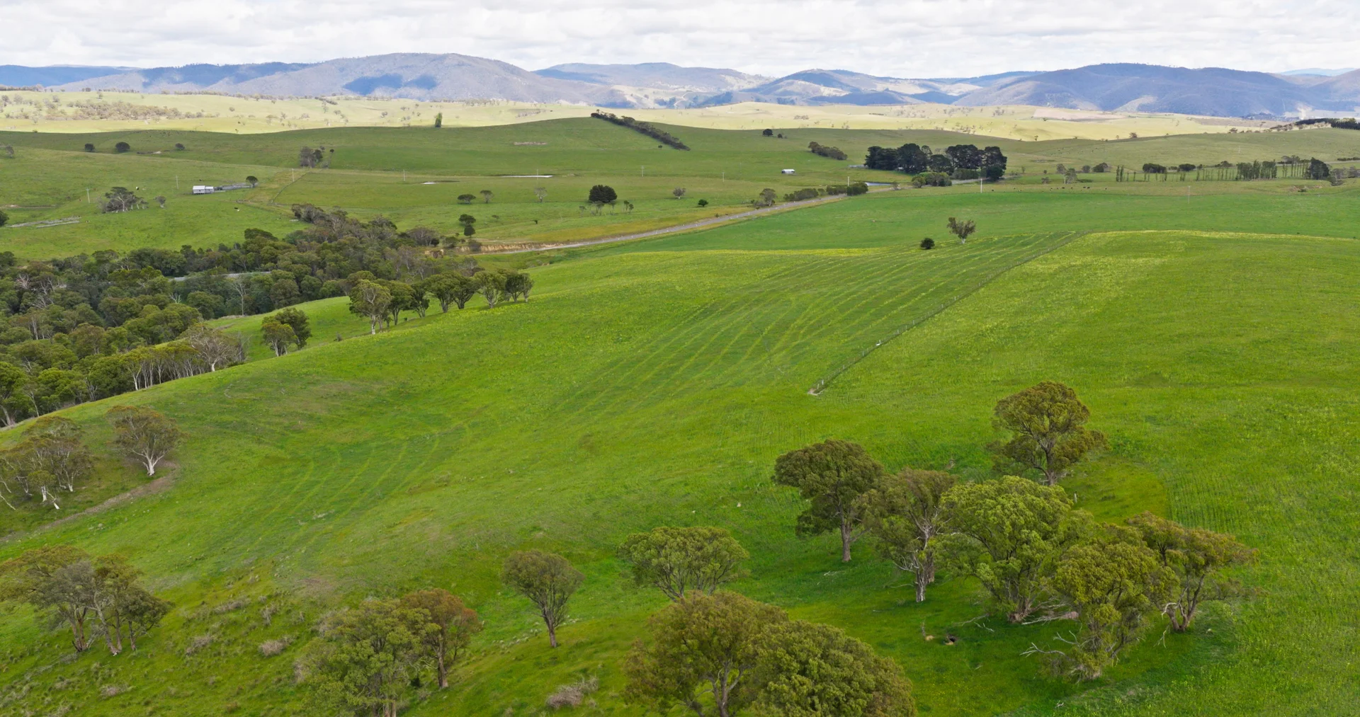 Additional image 12 of Lot 2 - 289 Tongio Gap Road, Tongio VIC 3896