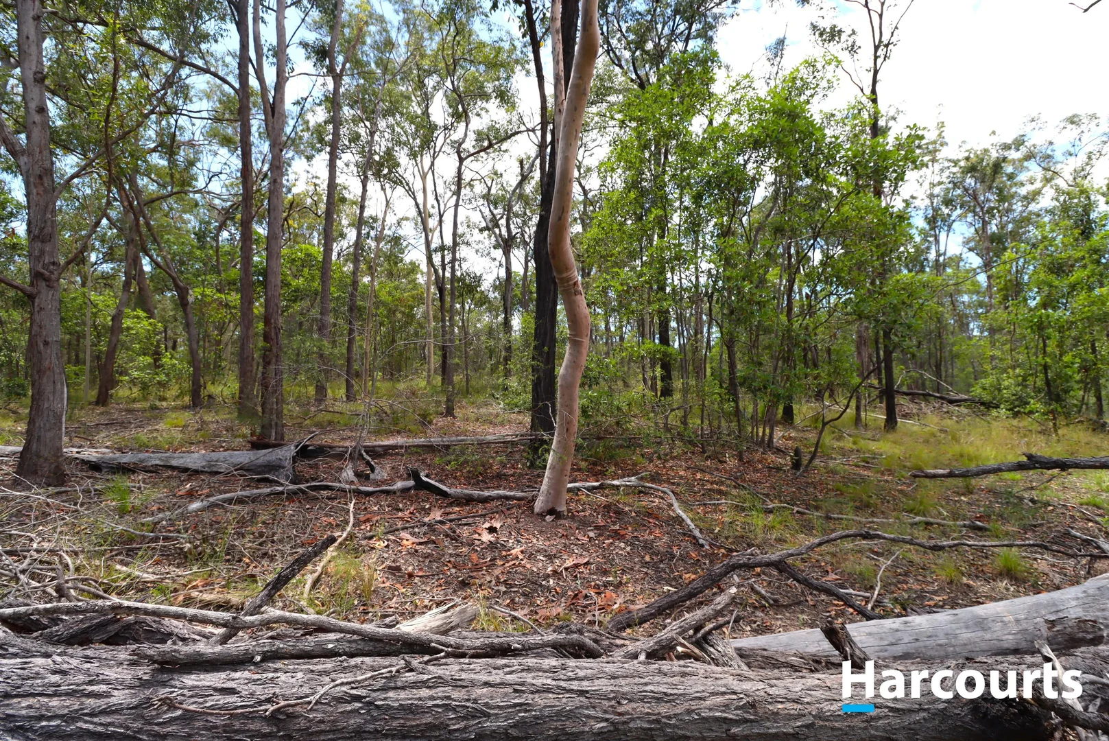 Additional image 6 of 29790 Bruce Highway, Apple Tree Creek QLD 4660