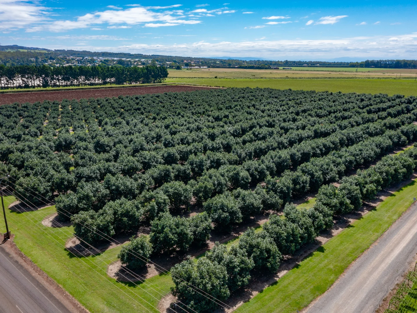 Additional image 3 of Atherton QLD 4883