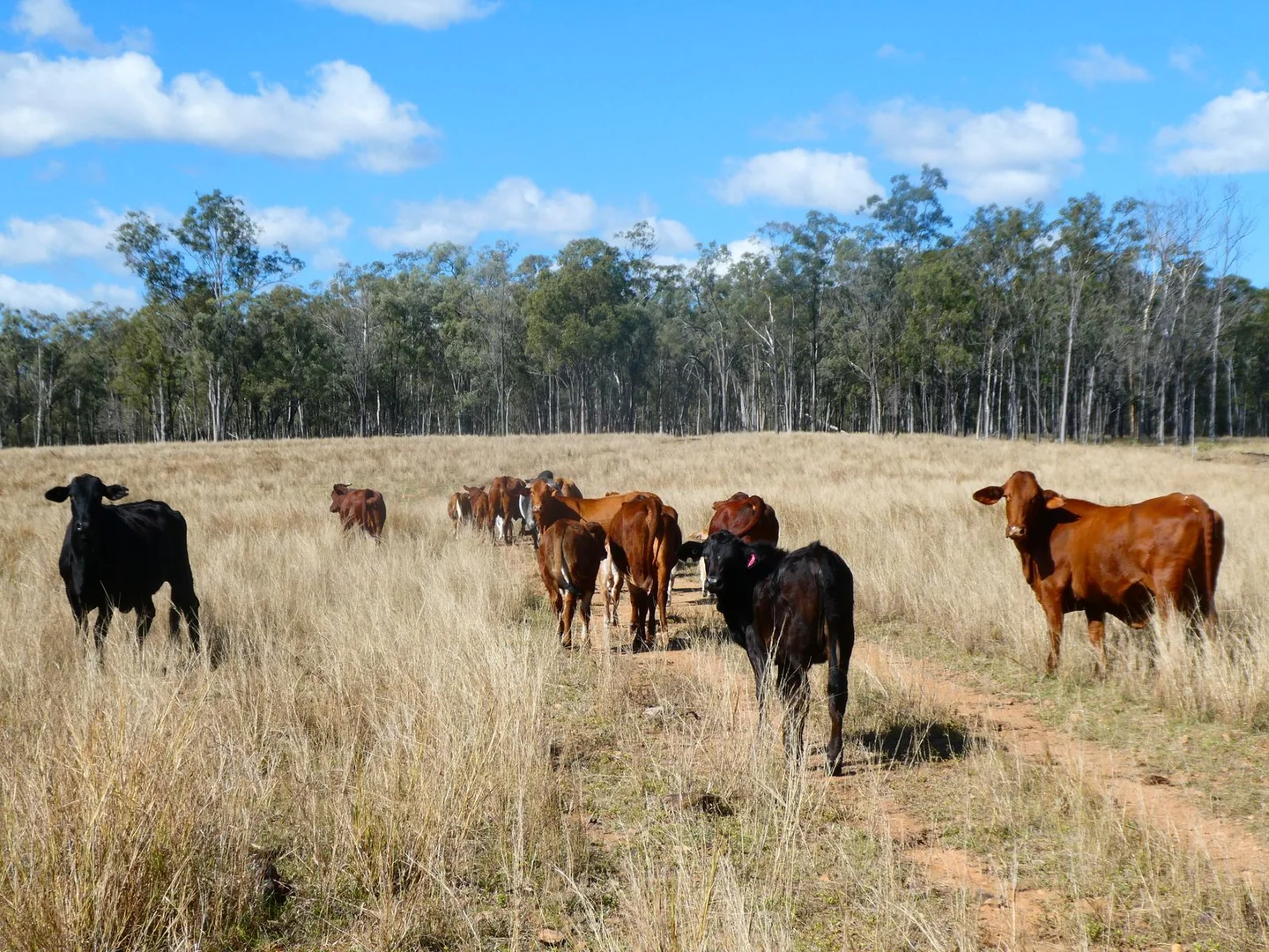 Additional image 19 of NRN BEERON ROAD, Beeron QLD 4626
