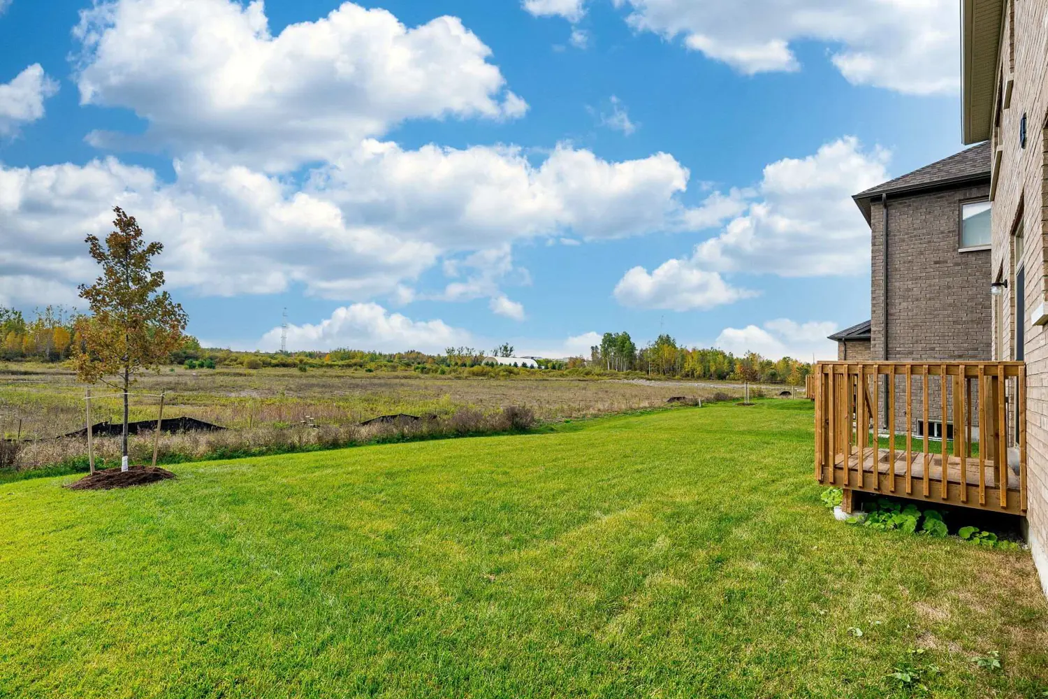 Additional image 20 of 257 Duncan Street