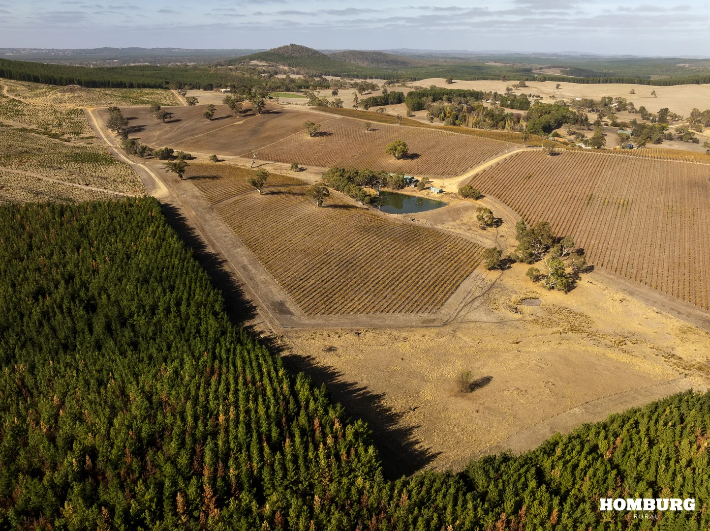 Additional image 10 of 453 Springton Road, Pewsey Vale SA 5351