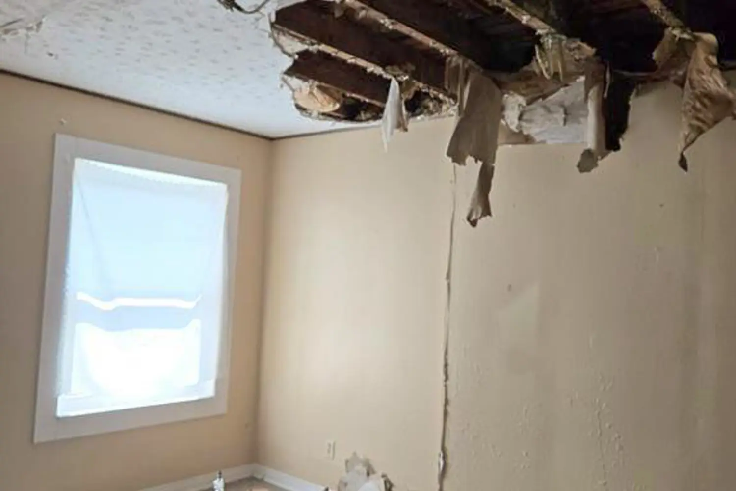 Additional image 11 of 4689 Crysler Avenue