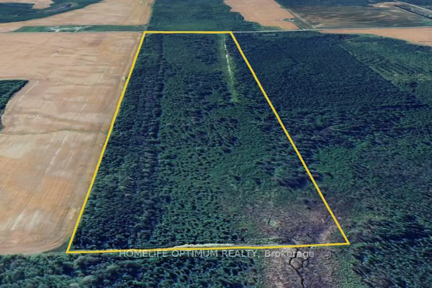 Additional image 8 of 76 Acres In Glackmeyer Township Pcl 3225