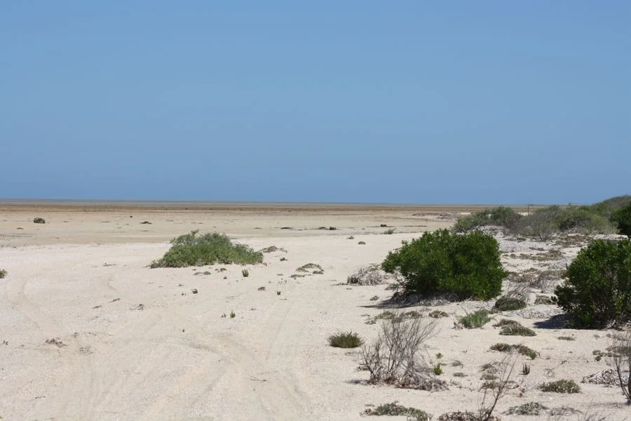 Additional image 7 of Section 6 Old Telegraph Road, Midgee SA 5602