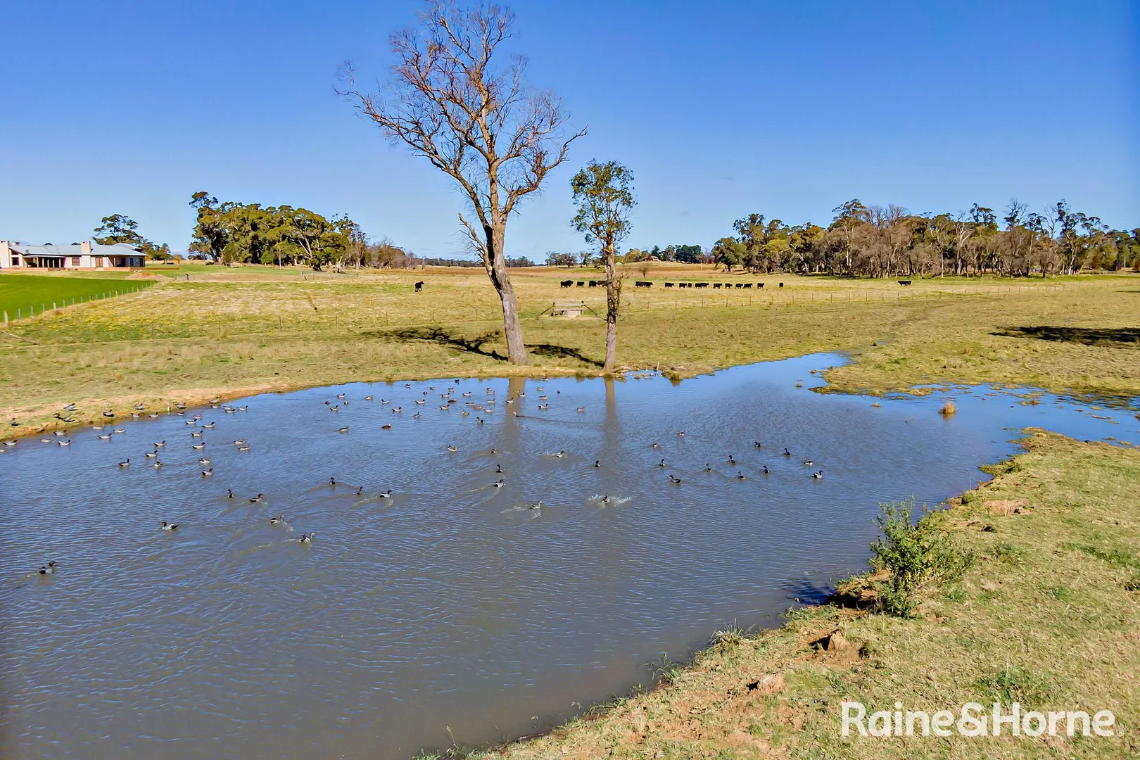 Additional image 38 of Glenquarry NSW 2576