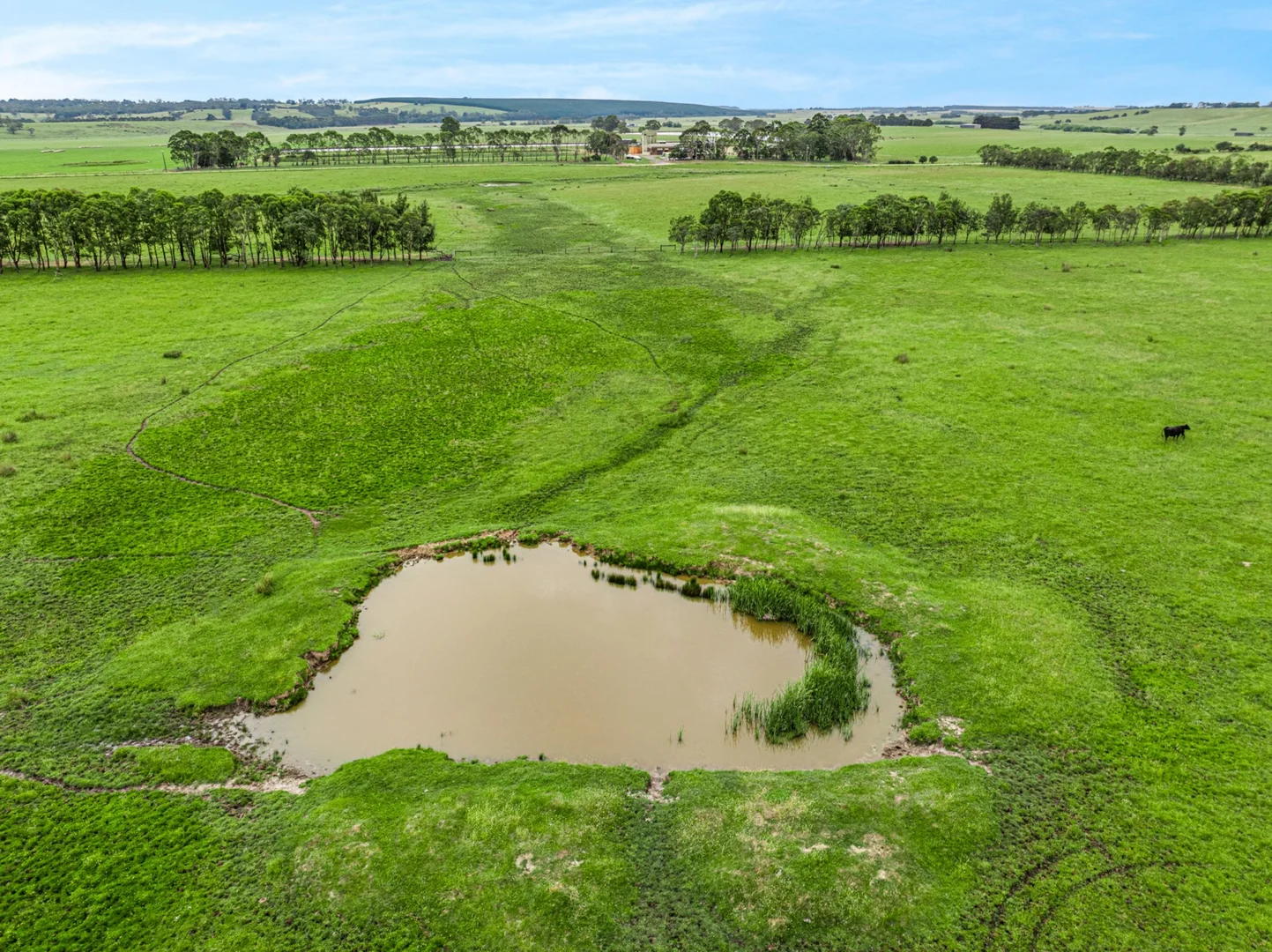 Additional image 4 of 385 Dewings Bridge Road, Gerangamete VIC 3249