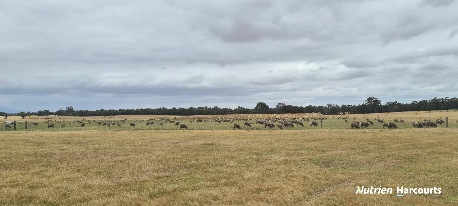 Additional image 4 of 4038 & 4184 Chesterpass Road, Takalarup WA 6324