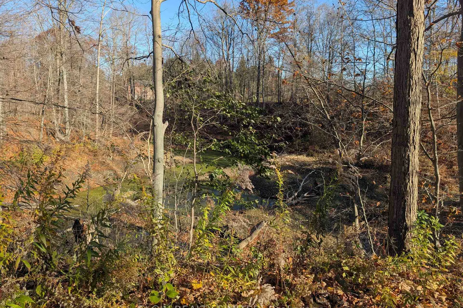 Additional image 8 of 46420 Methodist St. Street