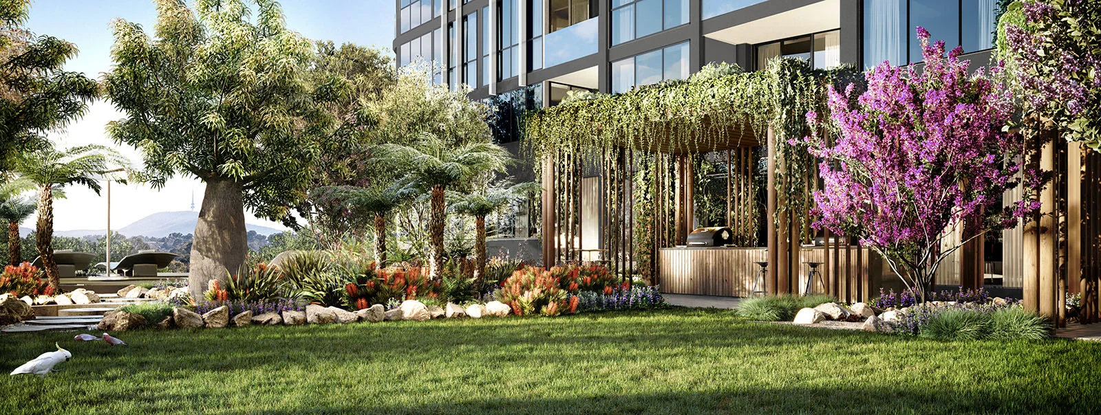 Cnr Easty & Wilbow Streets, Phillip ACT 2606