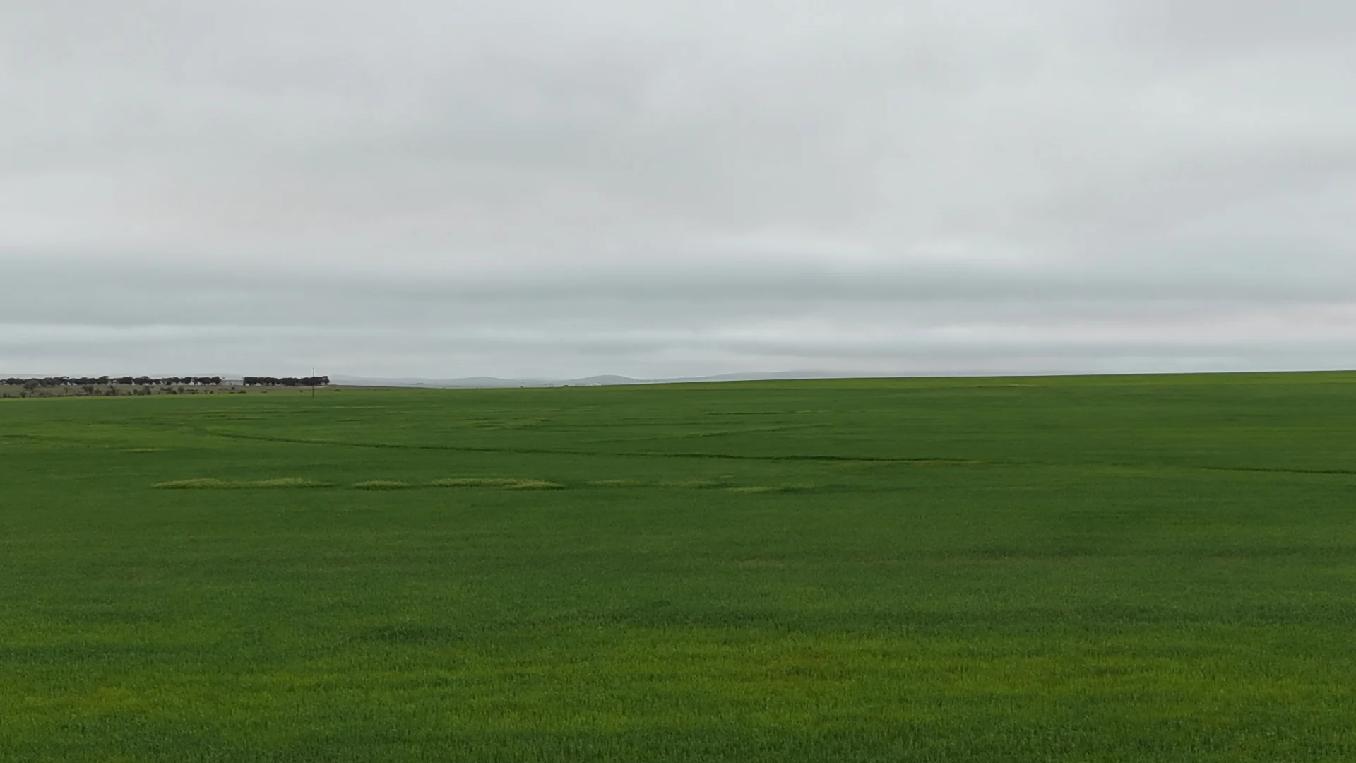 Additional image 16 of 26 Amyton Road, Willowie SA 5431