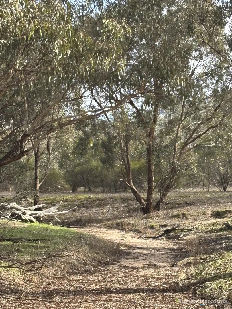 Additional image 11 of Lot 1 Wedderburn-Serpentine Road, Glenalbyn VIC 3517