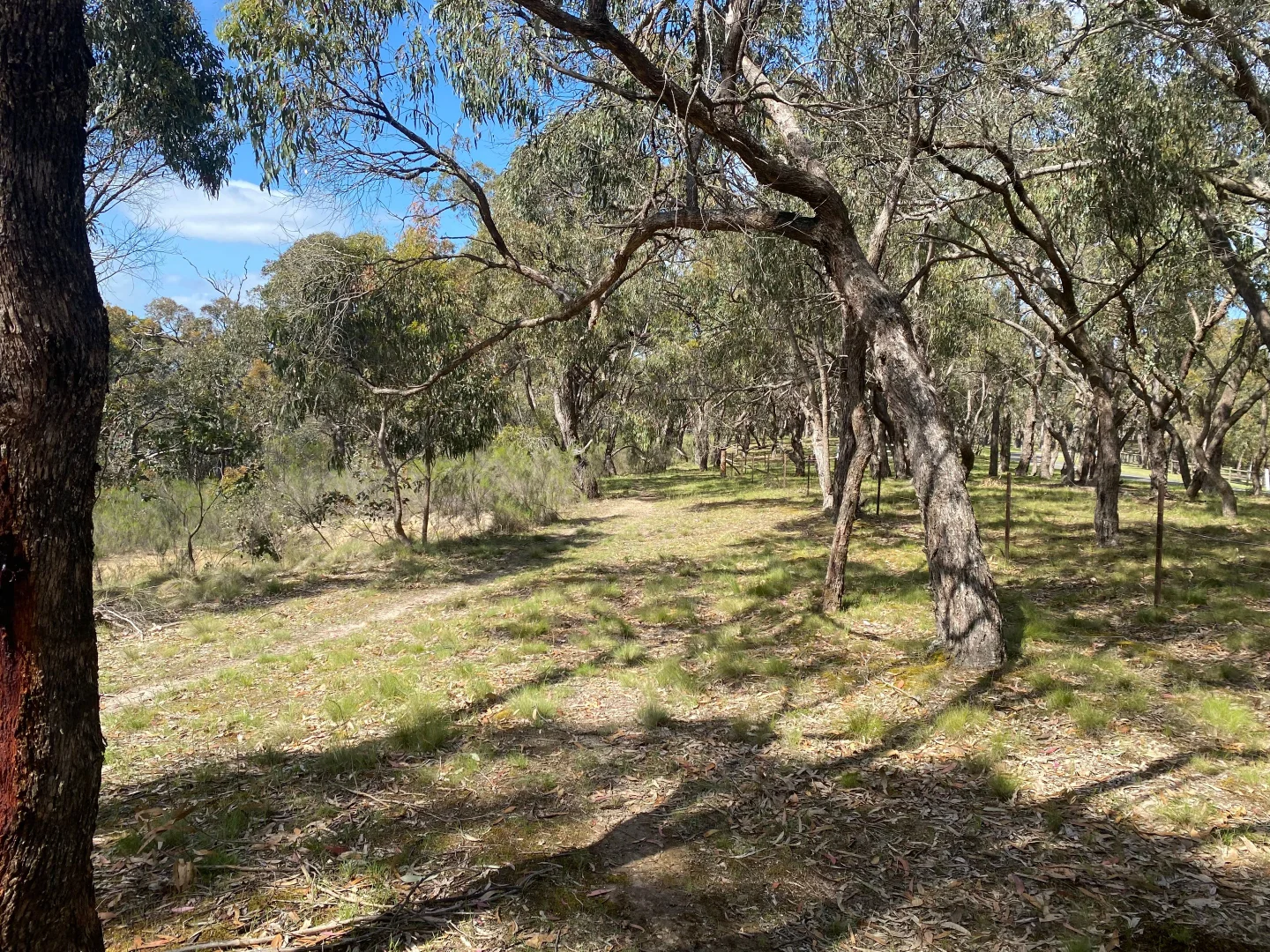 Additional image 6 of 37 Eastern Ridge, Wallan VIC 3756