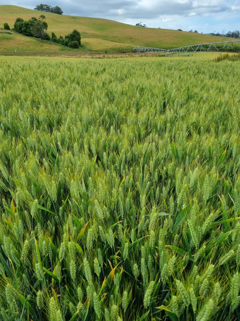 Additional image 12 of 299 Natone Road, Stowport TAS 7321