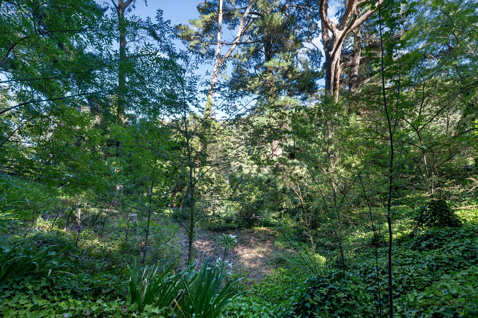 Additional image 3 of 43 Sturt Valley Road, Stirling SA 5152