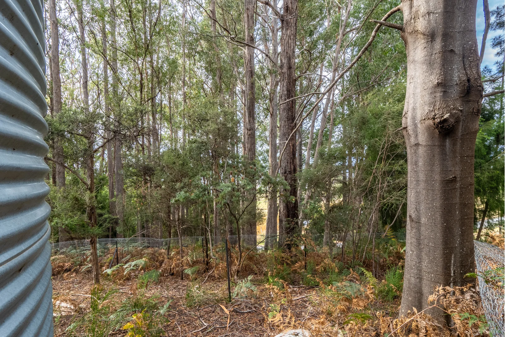 Additional image 15 of Channel Highway, Flowerpot TAS 7163