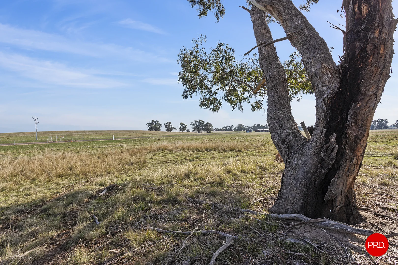 Additional image 7 of 295 Pethericks Road, Goornong VIC 3557