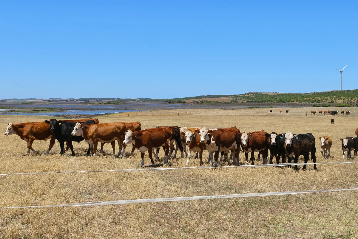 Additional image 24 of 4577 Princes Highway, Yambuk VIC 3285