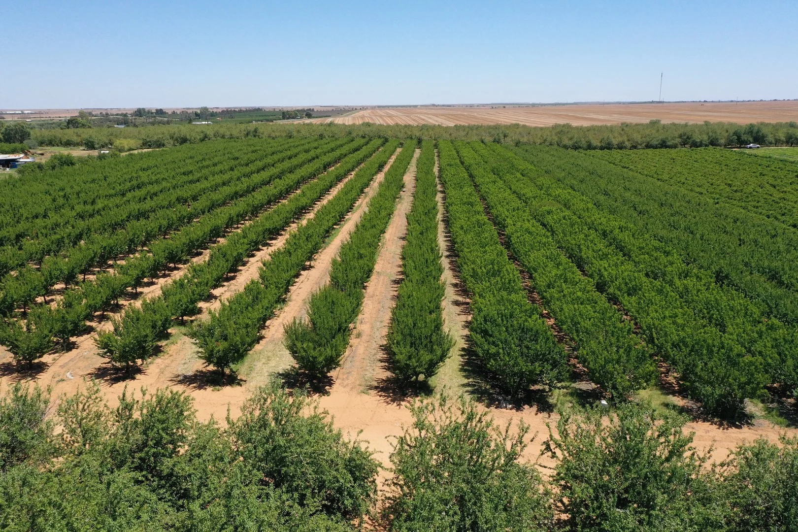 Additional image 2 of Lot 54 Newton Road, Loxton SA 5333