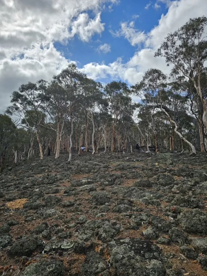 Additional image 65 of 9 Morris Edwards Drive, York WA 6302