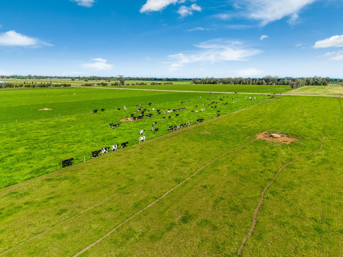 Additional image 5 of 2217 Henderson Road, Girgarre VIC 3624