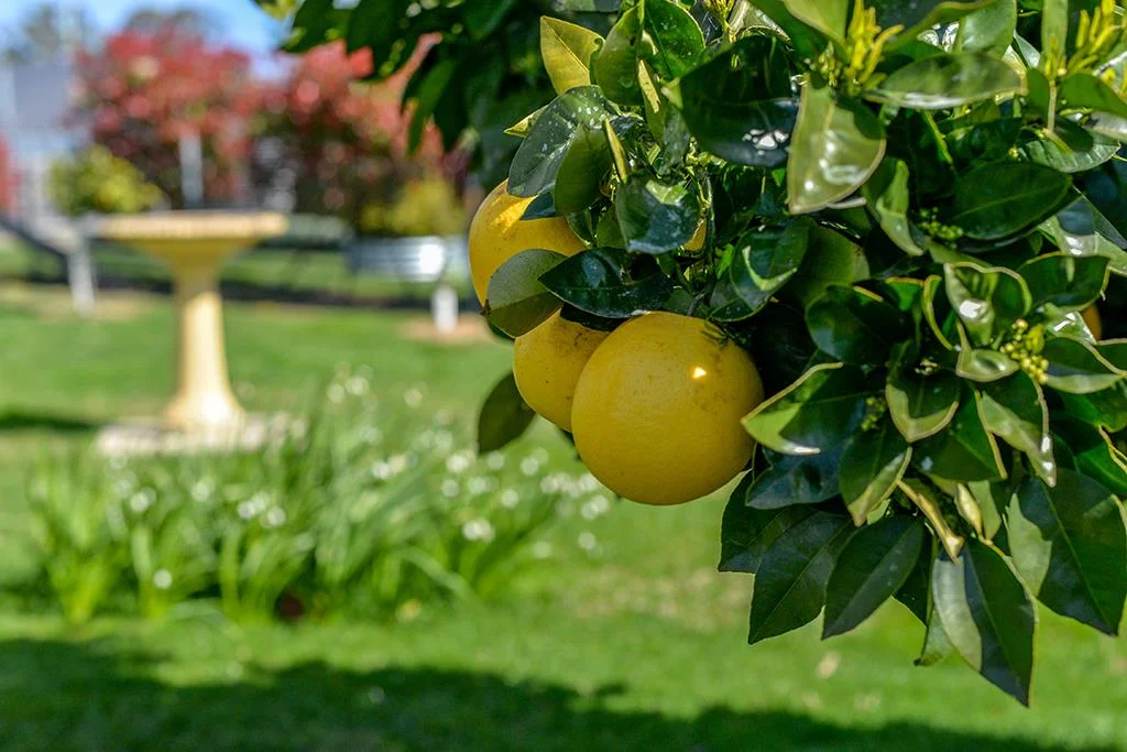 Additional image 14 of 83C Penrose Road, Bundanoon NSW 2578