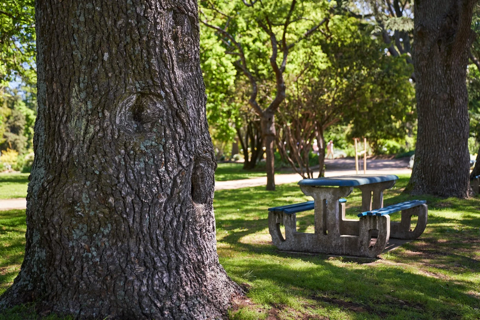 Additional image 7 of 41 Ambrosia Estate Avenue, Kyneton VIC 3444