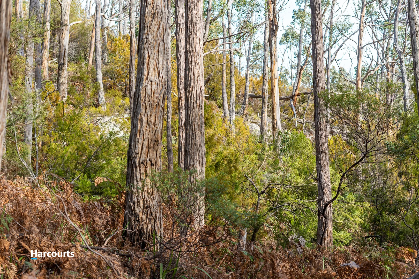 Additional image 18 of 44 Klasen Road, Police Point TAS 7116