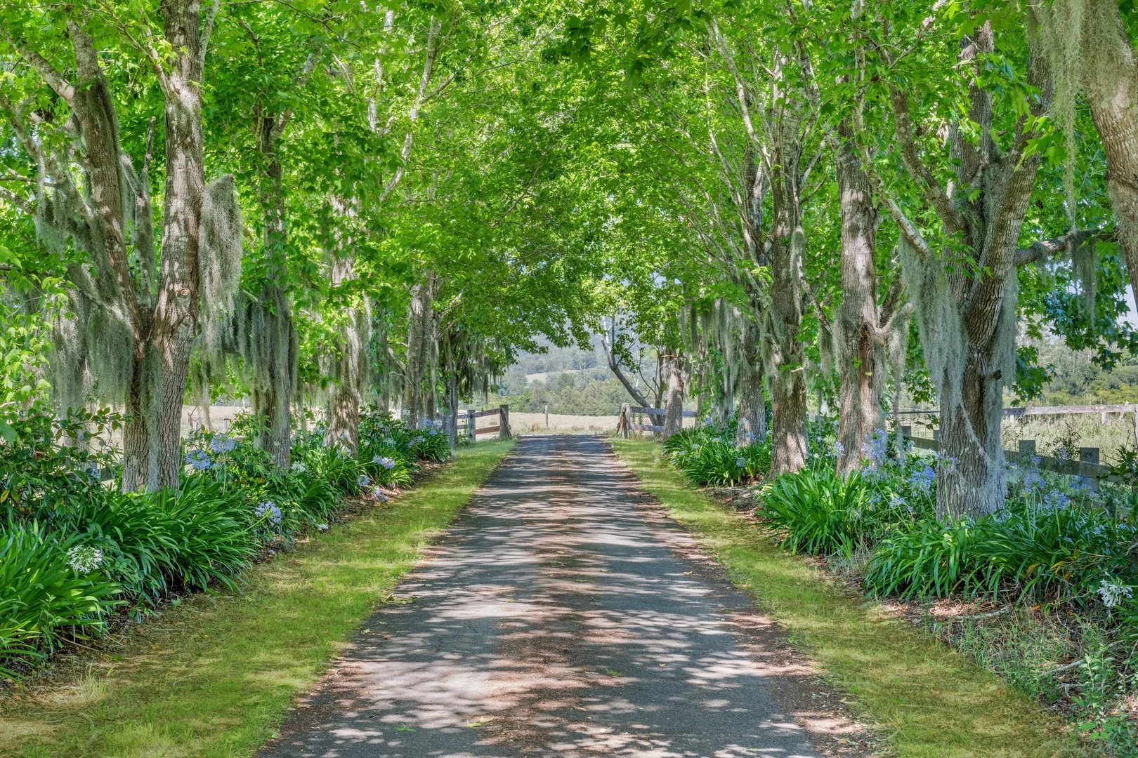 114 Hartys Plains Road, Hartys Plains NSW 2446