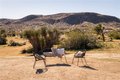 Additional image 19 of 5376 Linda Lee Dr, Yucca Valley, CA, 92284
